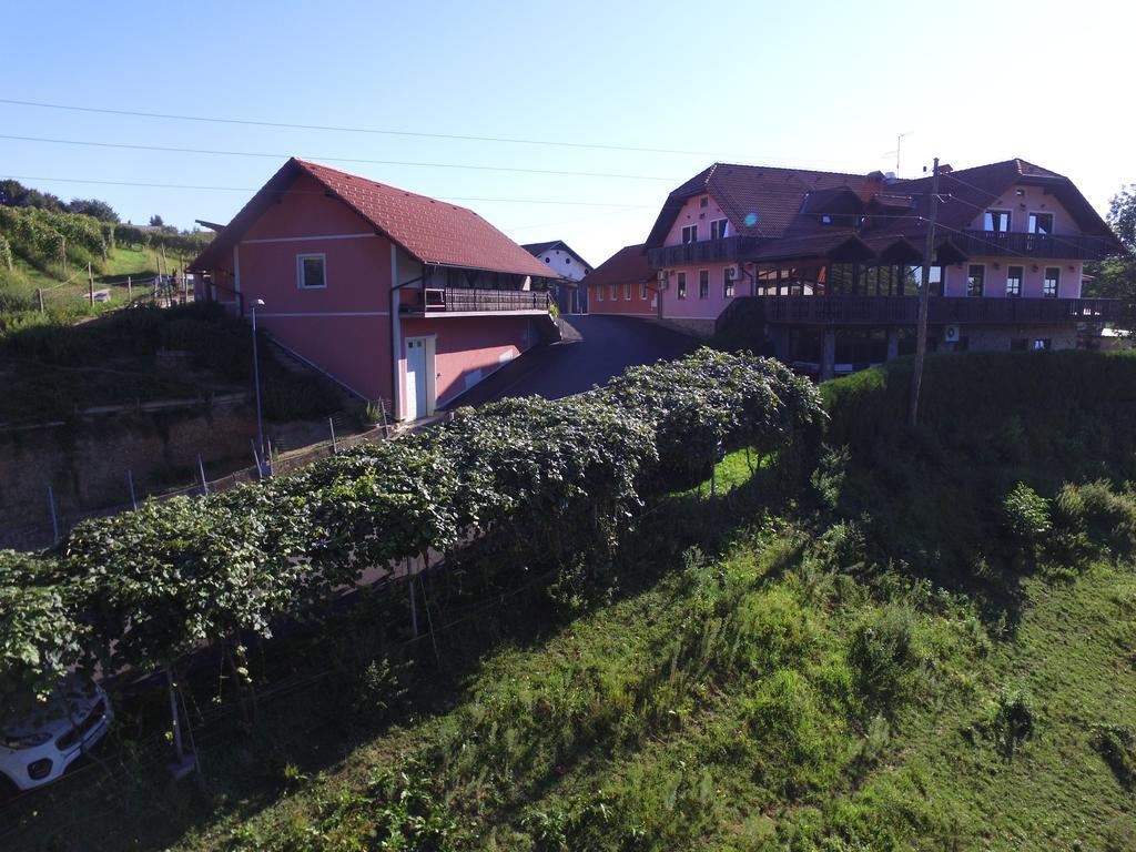 Guesthouse Kaucic Benedikt v Slovenskih Goricah Ngoại thất bức ảnh